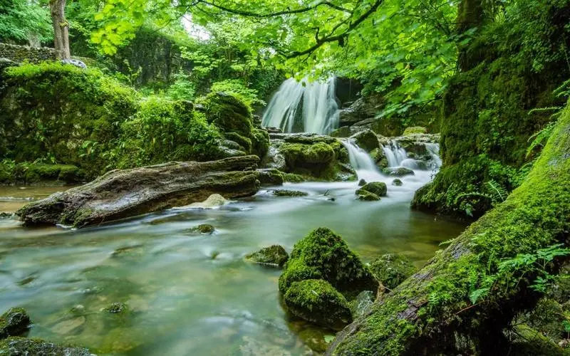 高性能智能系统高效
